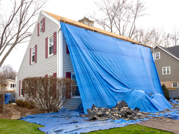 Best Insulated Siding Installation  in Pelion, SC